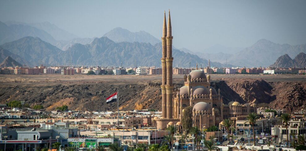 pexels-vika-glitter-392079-18895961 (1)