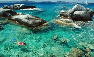Abu Dabbab Snorkeling Tour: 1 Amazing Red Sea Adventure