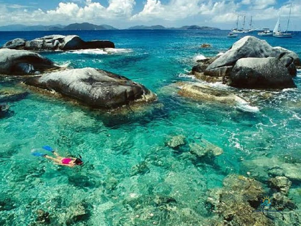 Abu Dabbab Snorkeling Tour: 1 Amazing Red Sea Adventure