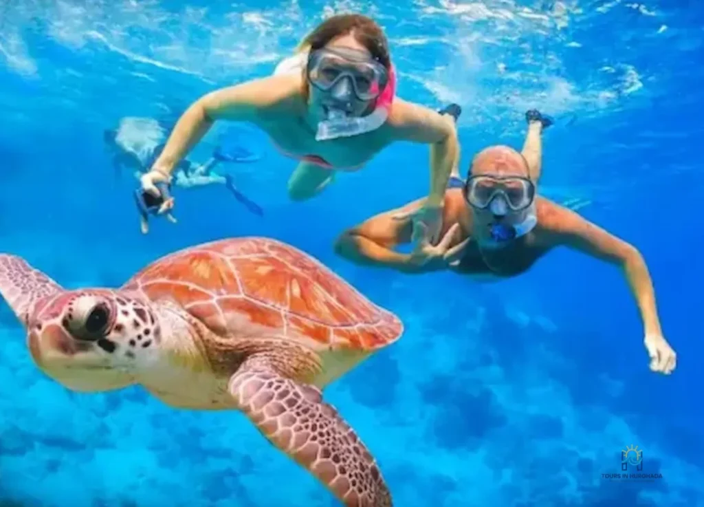 abu dabbab snorkeling tour