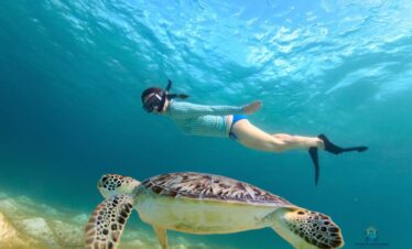 Abu Dabbab Snorkeling Tour: 1 Amazing Red Sea Adventure