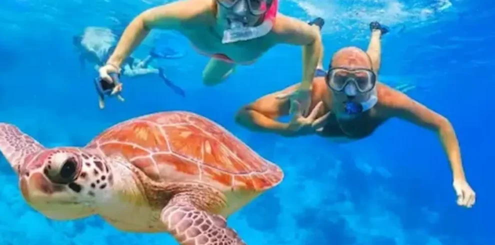 abu dabbab snorkeling tour