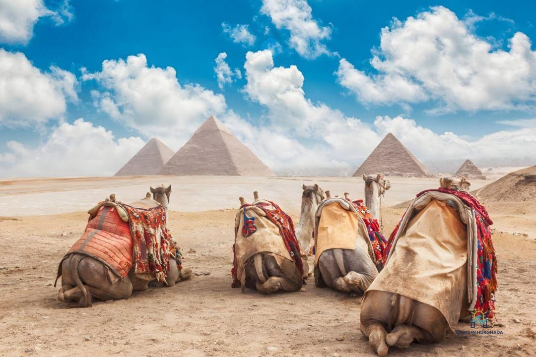 cairo plane day trip hurghada