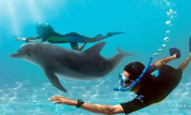 Dolphin House Hurghada Tour: 7 Thrilling Moments with Red Sea Dolphins