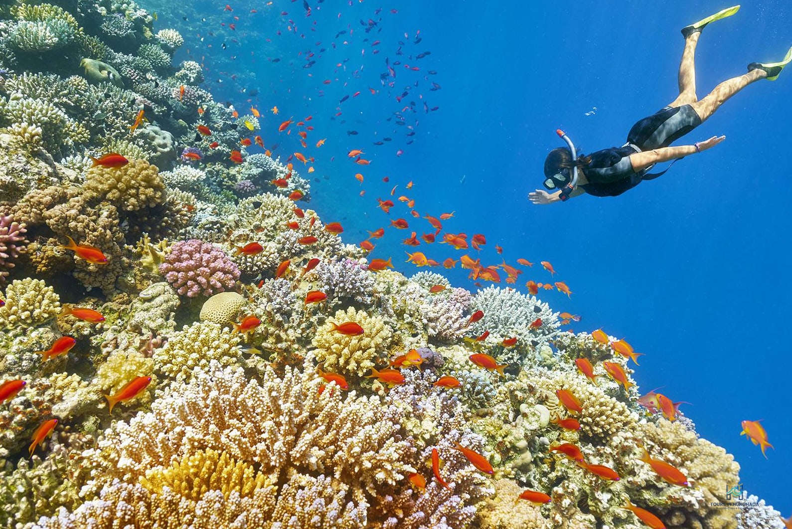 giftun island snorkeling