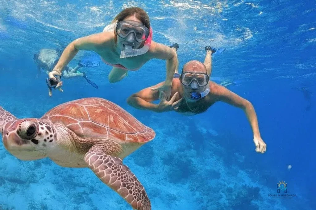 Giftun Island Snorkeling: 1-Day Red Sea Adventure