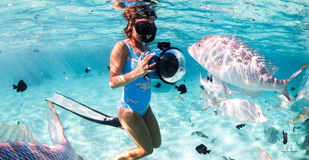 Giftun Island Snorkeling: 1-Day Red Sea Adventure