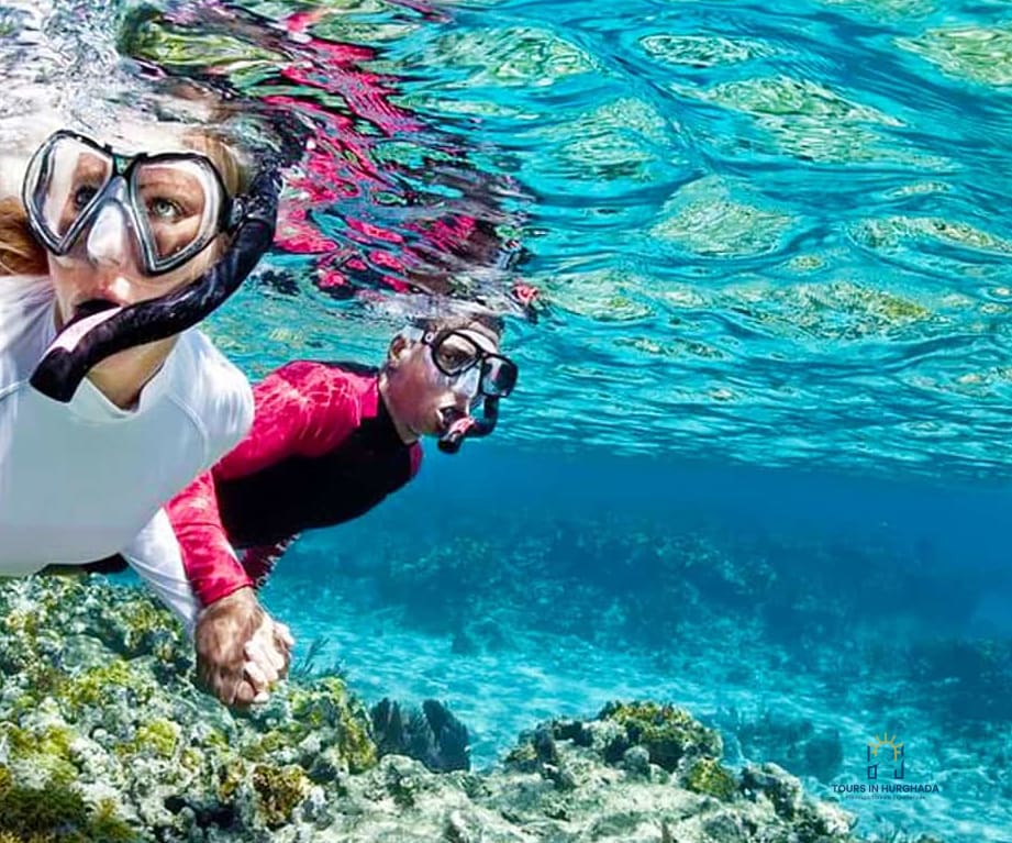 Giftun Island Snorkeling: 1-Day Red Sea Adventure