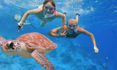 Giftun Island Snorkeling: 1-Day Red Sea Adventure