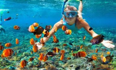 Giftun Island Snorkeling: 1-Day Red Sea Adventure