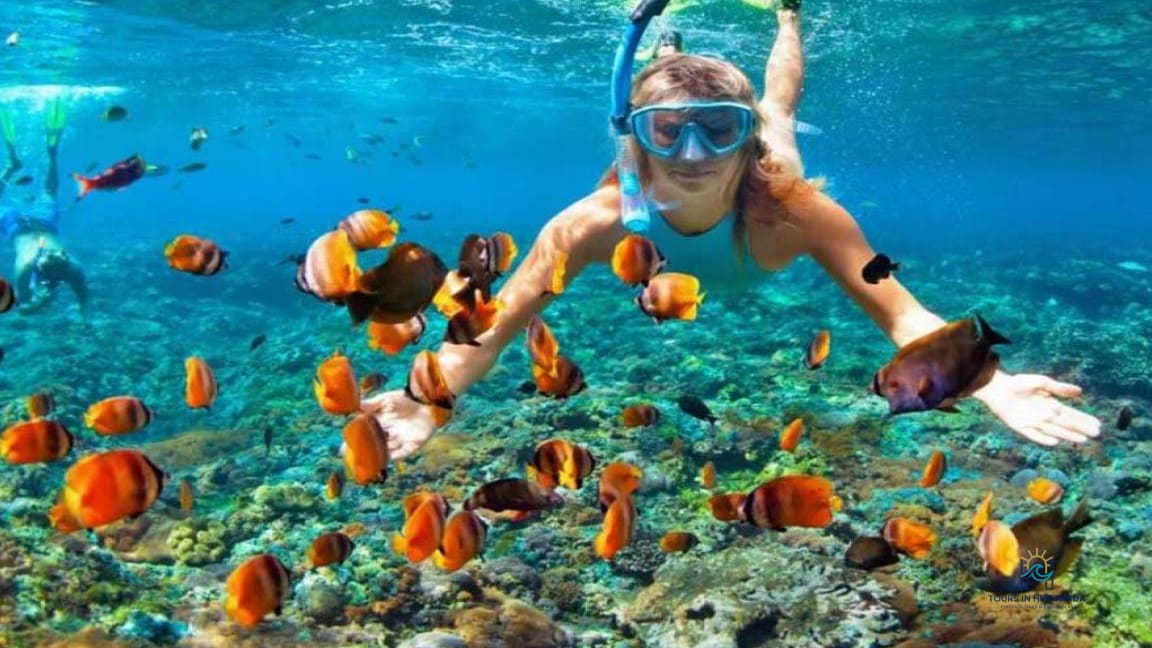 Giftun Island Snorkeling: 1-Day Red Sea Adventure