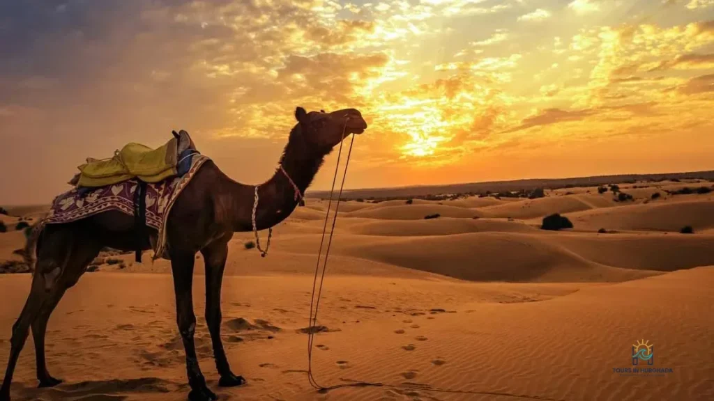 Hurghada Desert Safari Jeep: 7 Adventures Await!