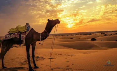 Hurghada Desert Safari Jeep: 7 Adventures Await!