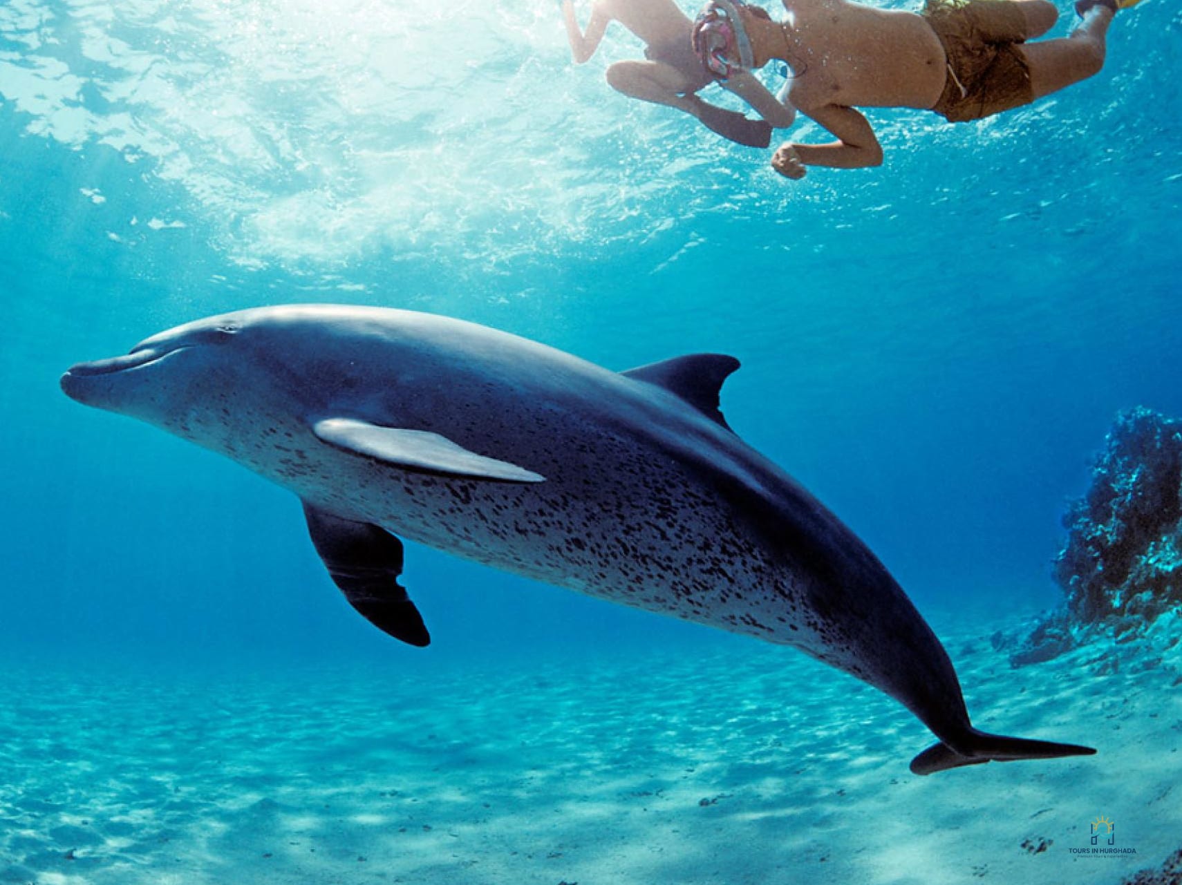 Hurghada Snorkeling Trip: Explore 3 Red Sea Wonders in 1 Day!