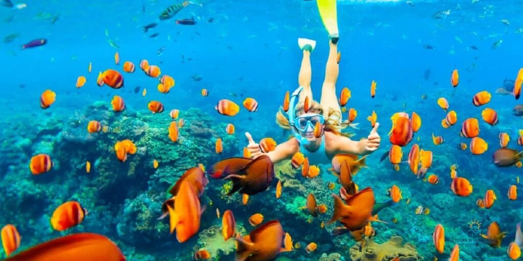 Hurghada Snorkeling Trip: Explore 3 Red Sea Wonders in 1 Day!