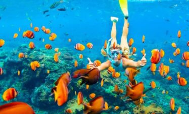 Hurghada Snorkeling Trip: Explore 3 Red Sea Wonders in 1 Day!