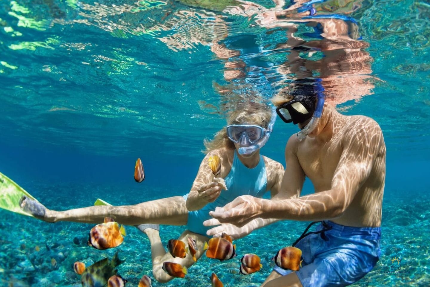 Hurghada Snorkeling Trip: Explore 3 Red Sea Wonders in 1 Day!