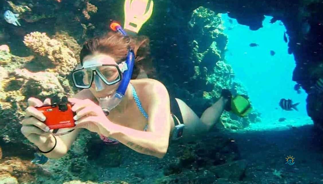 Mahmya Island Snorkeling: 1 Day Red Sea Adventure | 5-Star Tour