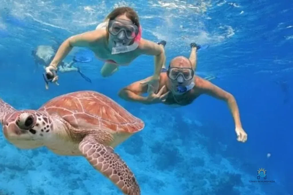 Mahmya Island Snorkeling: 1 Day Red Sea Adventure | 5-Star Tour