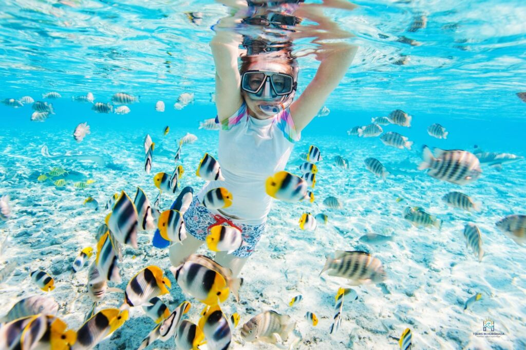 Mahmya Island Snorkeling: 1 Day Red Sea Adventure | 5-Star Tour