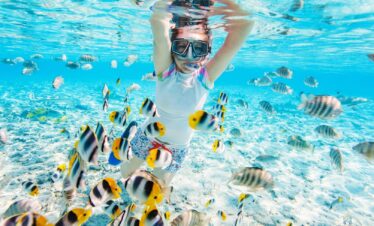 Mahmya Island Snorkeling: 1 Day Red Sea Adventure | 5-Star Tour
