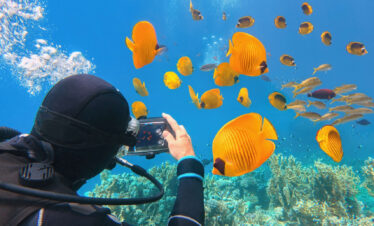 Mahmya Island Snorkeling: 1 Day Red Sea Adventure | 5-Star Tour