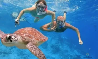 Mahmya Island Snorkeling: 1 Day Red Sea Adventure | 5-Star Tour