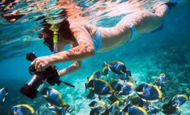Mahmya Island Snorkeling: 1 Day Red Sea Adventure | 5-Star Tour