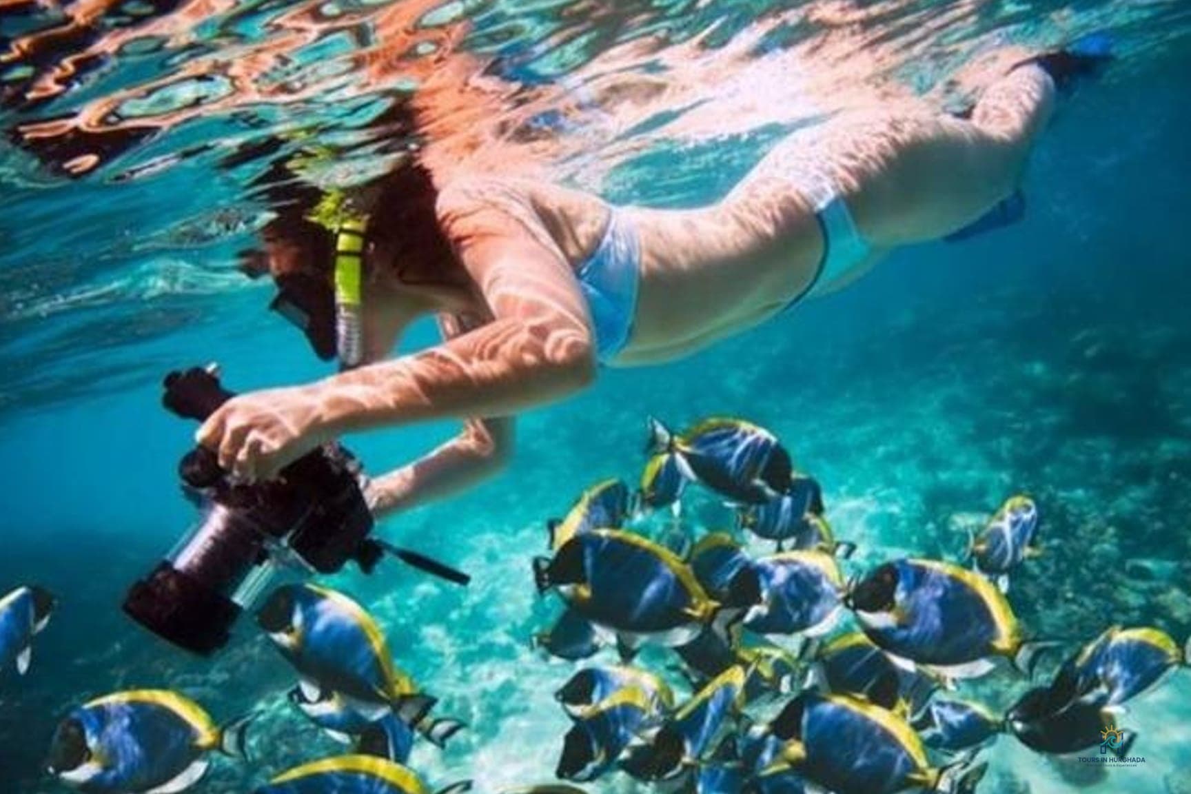 Mahmya Island Snorkeling: 1 Day Red Sea Adventure | 5-Star Tour