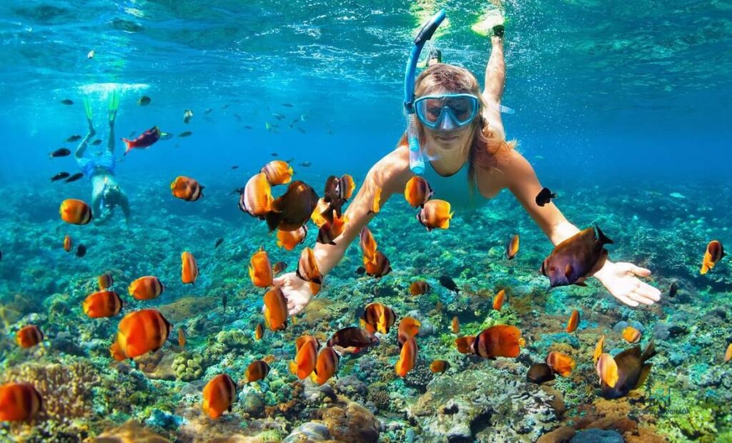 Paradise Island Snorkel Trip: 1 Epic Day of Red Sea Discovery