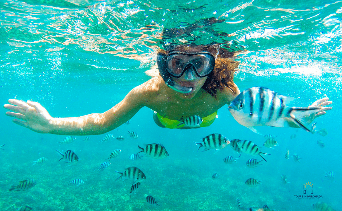 Paradise Island Snorkel Trip: 1 Epic Day of Red Sea Discovery