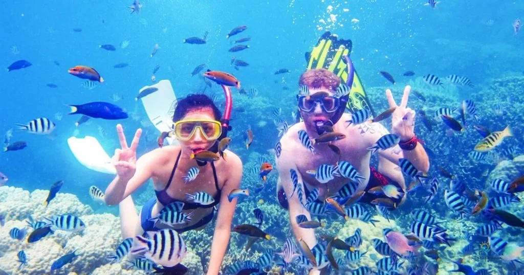 Paradise Island Snorkel Trip: 1 Epic Day of Red Sea Discovery