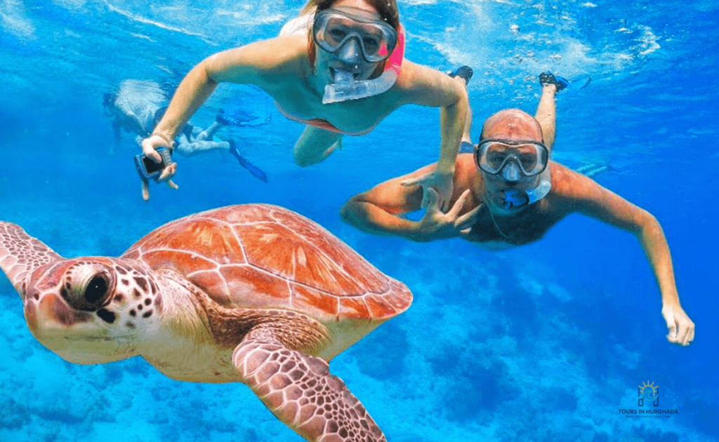 paradise island snorkel trip