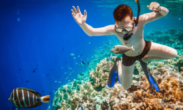 Paradise Island Snorkel Trip: 1 Epic Day of Red Sea Discovery