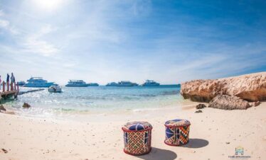 Paradise Island Snorkel Trip: 1 Epic Day of Red Sea Discovery