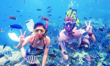 Paradise Island Snorkel Trip: 1 Epic Day of Red Sea Discovery