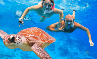 paradise island snorkel trip