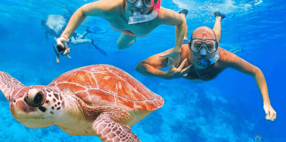 paradise island snorkel trip