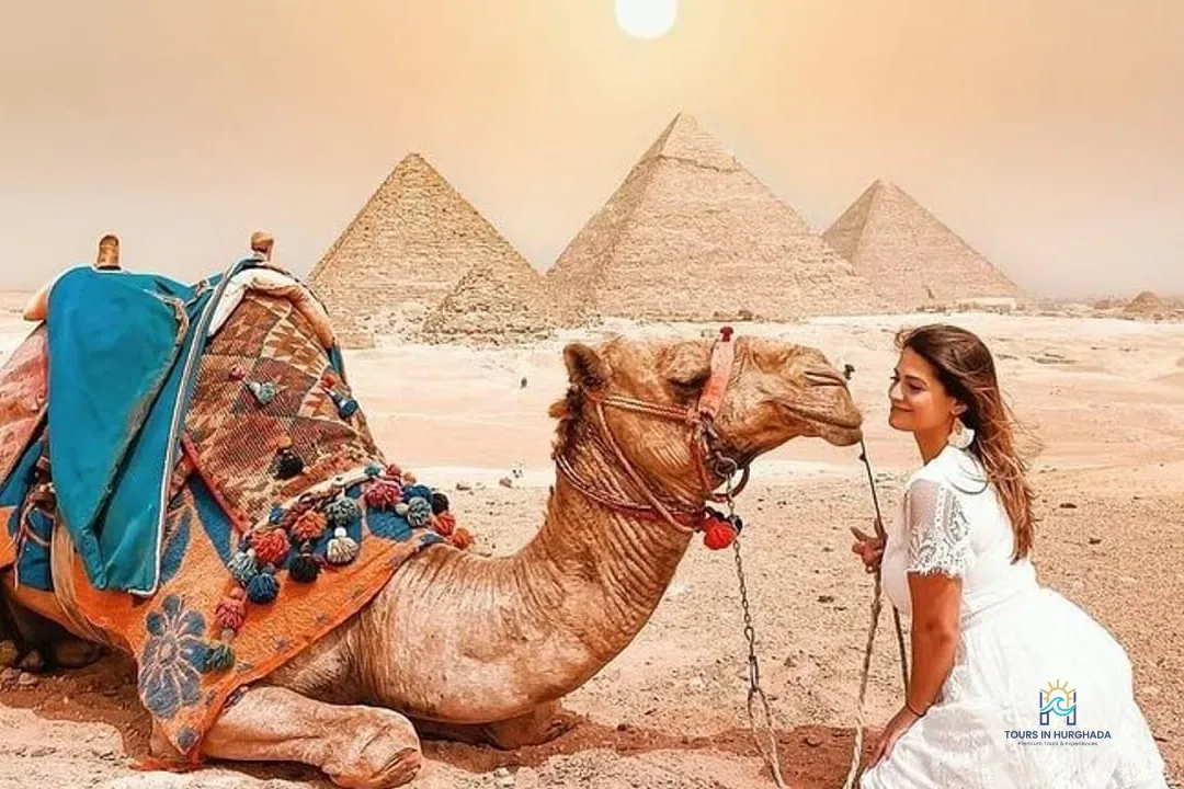 sharm cairo bus tour