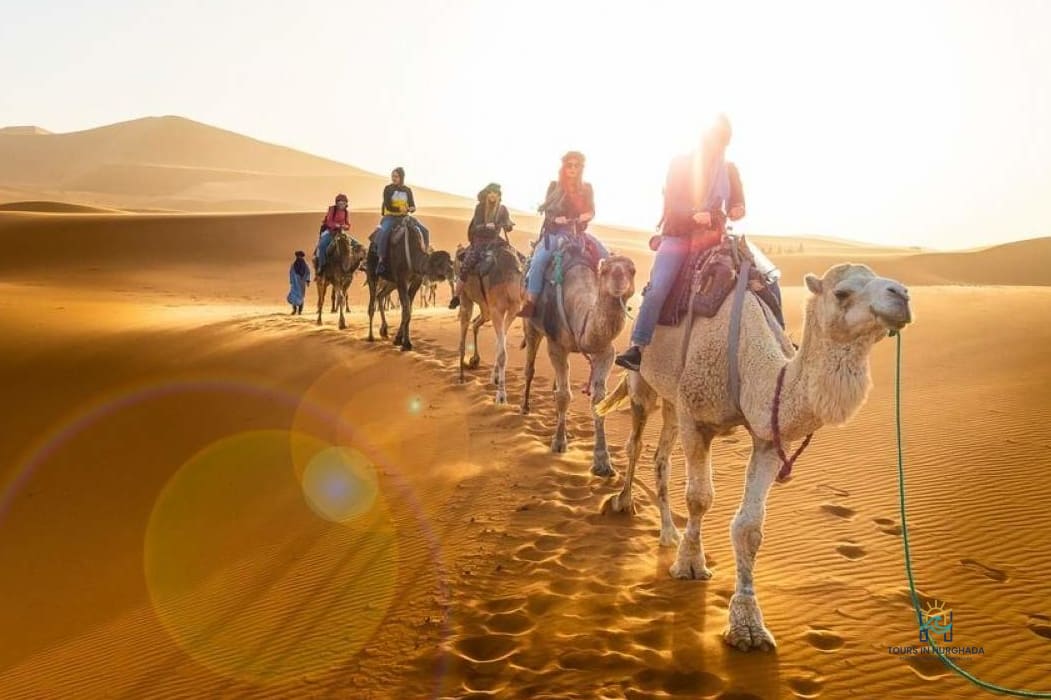 Sharm Camel Desert Tour: 5 Thrilling Hours in Sinai
