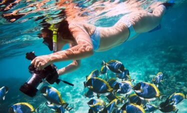 Sharm El Naga Snorkeling: 1-Day Red Sea Reef Adventure