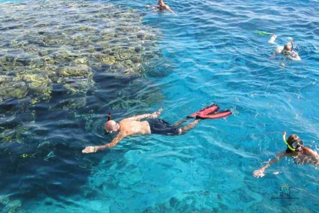 Sharm El Naga Snorkeling: 1-Day Red Sea Reef Adventure