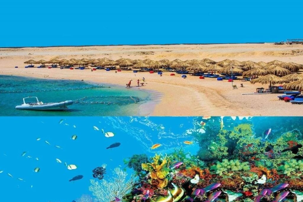 Sharm El Naga Snorkeling: 1-Day Red Sea Reef Adventure