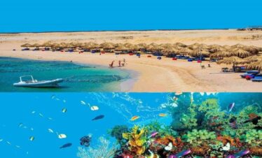 Sharm El Naga Snorkeling: 1-Day Red Sea Reef Adventure