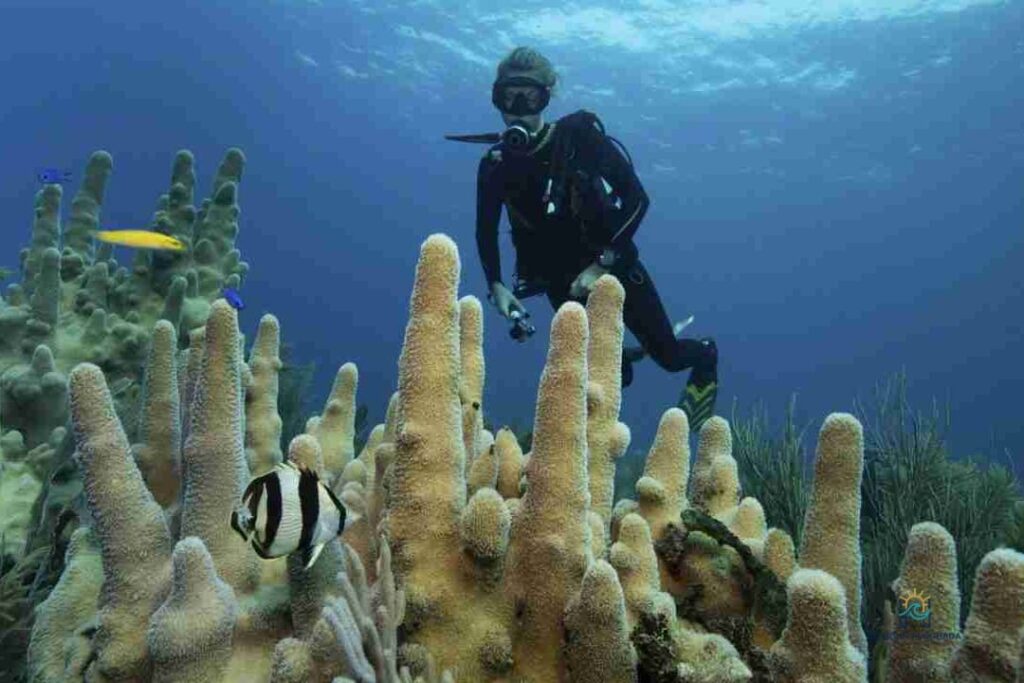 Sharm El Naga Snorkeling: 1-Day Red Sea Reef Adventure