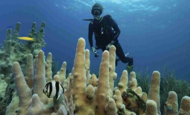 Sharm El Naga Snorkeling: 1-Day Red Sea Reef Adventure