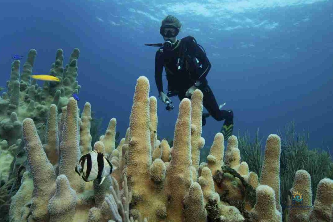 Sharm El Naga Snorkeling: 1-Day Red Sea Reef Adventure