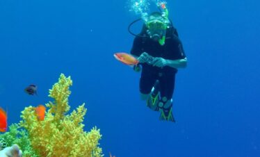 Sharm El Sheikh Diving: 5 Thrilling Red Sea Adventures
