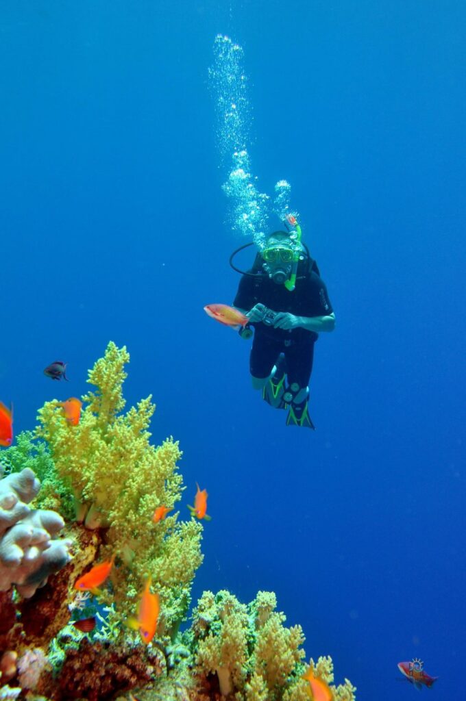 Sharm El Sheikh Diving: 5 Thrilling Red Sea Adventures