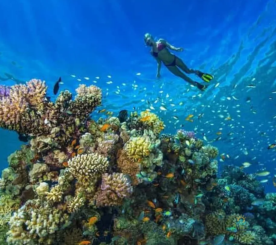 Tiran Island Snorkeling Tour: Discover 3 Reefs in 1 Day!